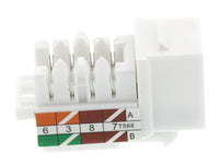 07-6024WH CAT5 Toolless Keystone Jack - White