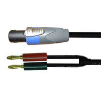 16-7220-10 Speakon Male to Dual Banana Male Cable 10FT
