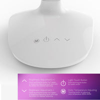 50-4873 Delicate Fashion Table Lamp