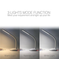 50-4873 Delicate Fashion Table Lamp